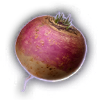 FOOD Turnip Unfaded.png