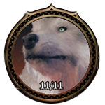 Wolf Companion Portrait.png