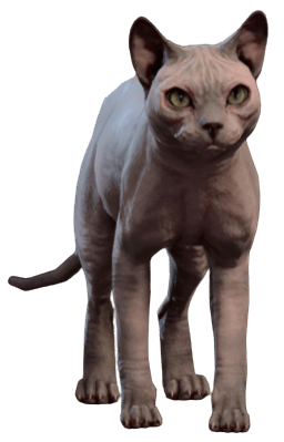 His Majesty Sphynx Model.png