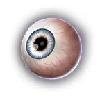 Wyll's Eye