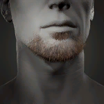 Chin Grove Beard.png