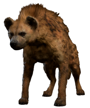 Hyena Model.png