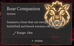 Boar Companion.jpg