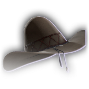 Old Floppy Hat image