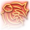 Enraged Throw Icon.png