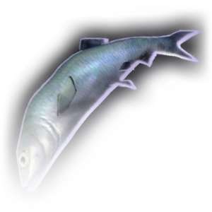 Fish image