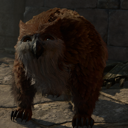 Owlbear Cub.