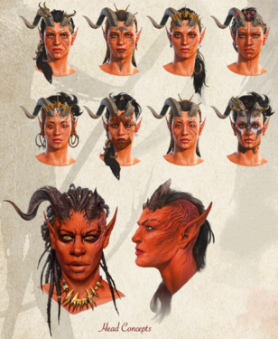 Digital Artbook early face concepts