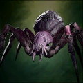 Portrait Sharran Spider.png