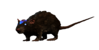 Cranium Rat Model.png