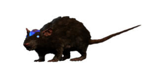 Cranium Rat Model.png