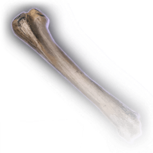 Bone image