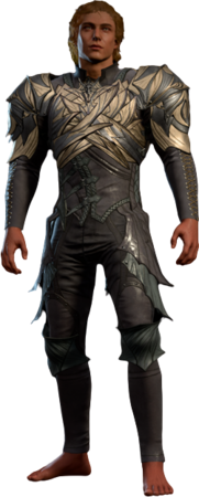 Spidersilk Armour High Elf Front