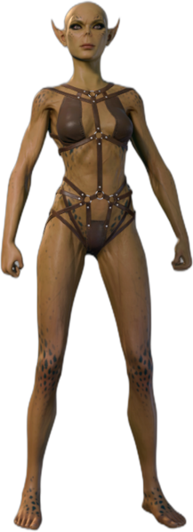 Underwear Githyanki Front