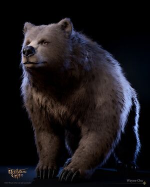 Wayne-chu-bg3-bear-render-wayne-chu-5.jpg