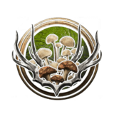 Circle of the Spores Icon.png