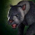 Portrait Panther.png