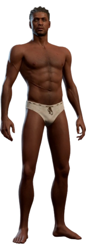 Wyll Underwear Model.webp