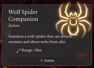 Wolf Spider Companion.jpg