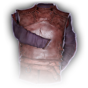 Leather Armour image