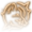 Boar Frenzied Strike Icon.png