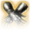 Hellrider's Pride Icon.png