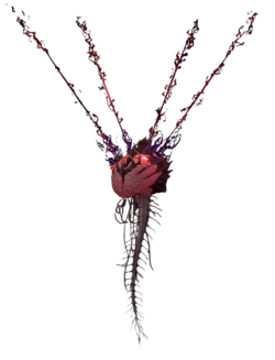 Netherbrain Model.png