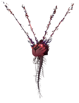 Netherbrain Model.png