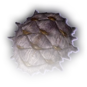 Mucoid Shell Icon.webp