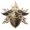 Paladin Class Icon.png