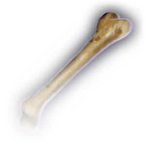 Bone image