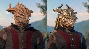 Dragonborn Gold.png