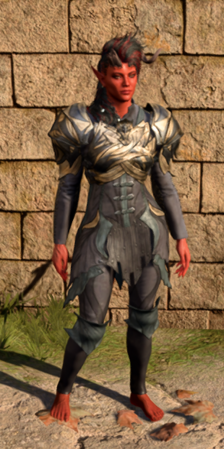 Spidersilk Armour worn by Karlach