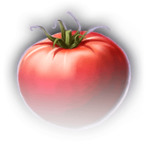 Tomato image