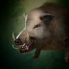 Portrait Boar.png