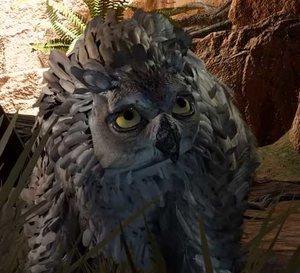 Owlbear cub.png