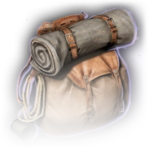 Heavy Backpack image