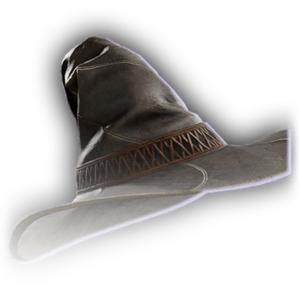 Brimmed Hat image