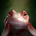 Portrait Conjured Frog.png