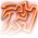 Primal Stampede Icon 64px.png