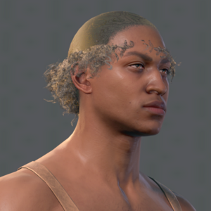 Afro Long C.png