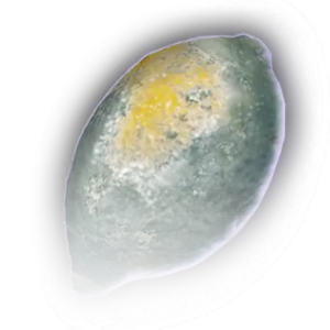 Rotten Lemon Faded.png