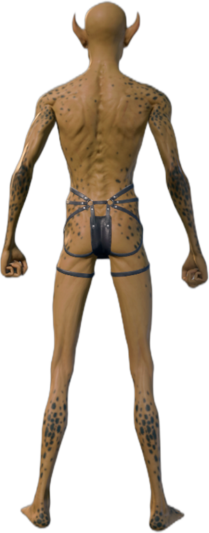 Underwear Githyanki B 2.png