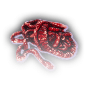 Intestines image