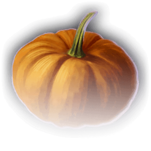 Pumpkin image