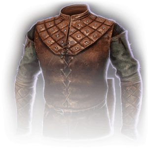 Leather Armour image