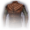 Leather Armour Icon.png