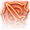 Frenzied Strike Icon.png