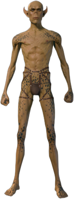 Underwear Githyanki A 1.png