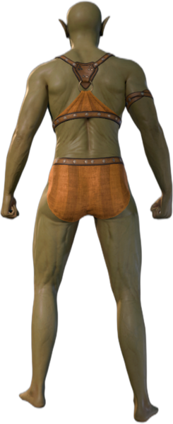 Orange Underwear Half-Orc Back